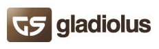 Gladiolus